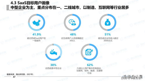 2021年中國SaaS市場研究報告 互聯網數據服務的崛起與挑戰